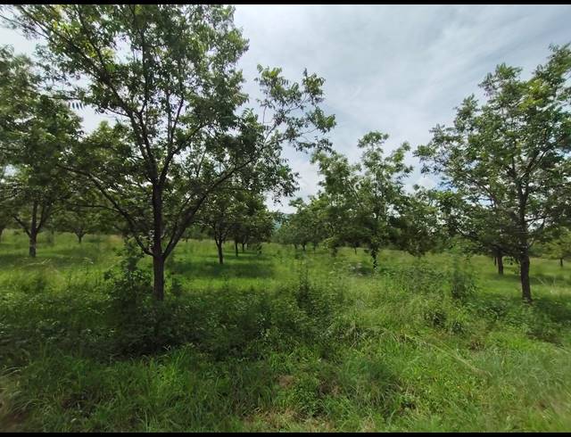 96HA FARM FOR SALE IN HEKPOORT